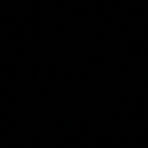 Meet your Posher, Roxanna - Picture 1 of 1